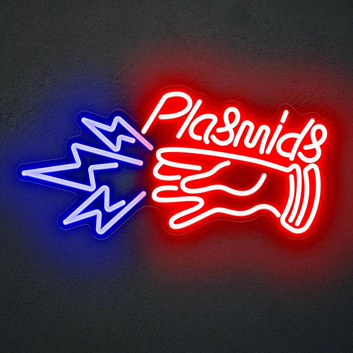 שלט לד Plasmids